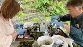[Lake Shirakaba] Moss Terrarium Making Experience - 90-minute Workshop - Moss Terrarium Experience - Activity