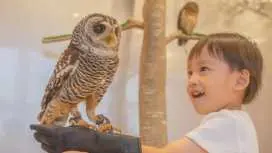 アニマルカフェMOFFららぽーと福岡店(日本):チケット