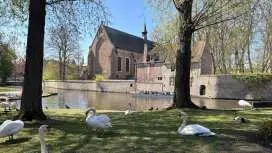 Bruges: private tour - highlights & hidden gems|Belgium