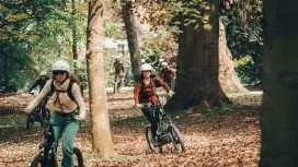 Ghent: Green Snake E-Step Tour with Local Guide|Belgium