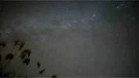 【鹿児島・与論島】南の島の夜に恋する。サクッと30分で満天の星空観望会|通年開催・初心者OK・当日参加歓迎