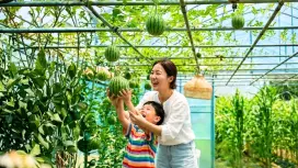 【親子體驗】韓國K農場水果採摘 X 小牛牧場芝士製作 X 金浦人氣咖啡廳ZATUR CAFE