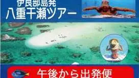 [Convenient Afternoon Trip] Join a local captain for a tour to swim with sea turtles at Yabiji (drone photography included)