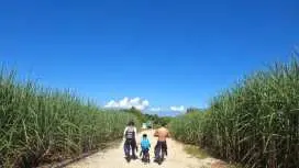 【アメリカンビレッジ近く/北谷町/読谷村】1組完全貸し切り✨カラフルサンゴとニモと遊ぶシュノーケル❤️3歳~⭕️当日予約OK✨