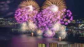 [2026 - 40th Commemorative Event] Shiga, Japan | Kansai's Largest - Lake Biwa Fireworks Festival Day Trip & Japan's Three Great Wagyu Beef - Omi Beef Four-Color Bento | Departing from Osaka