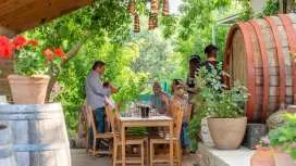 Split/Kaštela/Trogir: Krka Private Tour-option: Wine Tasting|Croatia