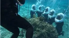 [Okinawa, Onna Village] Blue Cave Snorkeling & Onna Village Sea Walk Special Package Plan - Includes GoPro Camera and Towel Rental