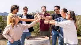 Barcelona: Montserrat, Winery Tour & Lunch with Wine Tasting|Spain