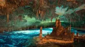 Mallorca: Drach and Hams Caves, and Porto Cristo Day Tour|Spain
