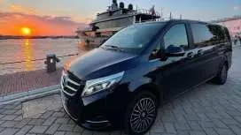 From Positano or Sorrento: Transfer with Stop in Pompeii|Italy