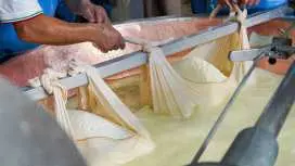 Guided tour of the Parmigiano Reggiano Dairy and the Ferrari Museum of Maranello|Italy
