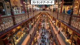 オペラハウス館内観光付き シドニー市内観光