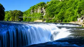 Fukiware Falls, Cherry Picking, Joshu Beef & Melon Feast Bus Tour from Tokyo