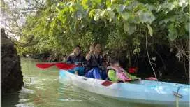 พายเรือคายัคในป่าชายเลน: จัดกิจกรรมได้แม้ฝนตก! สามารถจองได้ในวันเดียวกัน! ยินดีต้อนรับผู้เริ่มต้น! เพลิดเพลินไปกับช่วงเวลาที่สะดวกสบายในสถานที่ใหม่ของเรา! มีห้องอาบน้ําอุ่นและไดร์เป่าผมให้บริการ! บริการข้อมูลภาพถ่ายฟรี!