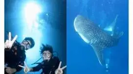 【1組貸切ガイド】青の洞窟+ジンベイザメボート体験ダイビングセット|GoProで大迫力の思い出写真・動画&エサやり無料!