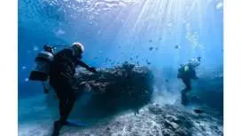 [Okinawa, Manza] Boat entry introductory diving (beginner level) 1 dive