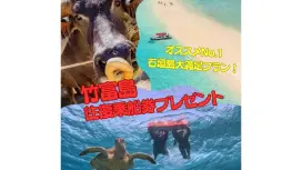 【超お得!竹富島往復船チケット付き】幻の島上陸&高確率で会えるウミガメシュノーケル☆GoProデータ・機材無料〈当日予約・0〜85歳OK〉