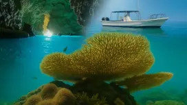 【恩納村・4時間コース】★人混みから解放される海へ★自分たちだけの貸切クルーズ★シュノーケリング・体験ダイビング・ファンダイビングOK