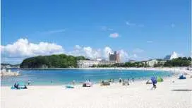関西最大級!体験ダイビング フェスティバル in 南紀白浜 8/2(日)