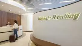 迪亞戈拉斯機場(RHO) | Main Terminal | Goldair Handling Lounge | 貴賓室服務