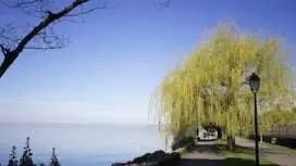 Tour of the Instagrammable spots of Montreux with a local