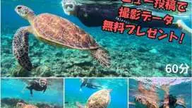 【奄美大島】【当日予約OK!】【シュノーケル】【60分】ウミガメシュノーケリング★レビューで撮影データ無料プレゼント★