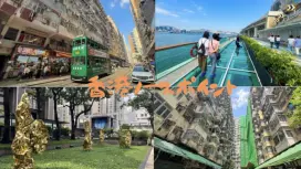 香港のお洒落なローカルスポットを3時間で満喫!日本語ガイドと巡る 北角(ノースポイント)街歩きツアー<OI!・春秧街・利強記北角鶏蛋仔・北角ウォーク・モンスターマンション> by パンダバス