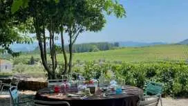 Full-day wine tour of Douro Valley