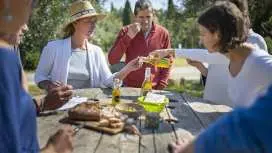 Languedoc wine and olive oil tour for small groups