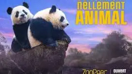 博瓦爾動物園門票
