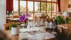Classic Wine Tasting in Montalcino