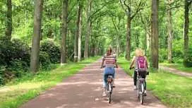 アイントホーフェンの見どころを巡る2時間自転車ツアー(地元ガイド付き)