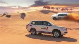 Dune dinner safari at Bassata Camp from Ras Al Khaimah
