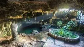 從梅里達出發前往霍蒙天然井的短途旅行(含餐)