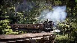 Melbourne, Australia | Puffing Billy Steam Train Half-Day Tour [English Service/Tips Included/Round-trip Bus Service/Multilingual Guided Tour]
