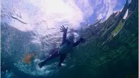 [Sado Island, Mushizaki, Snorkeling Tour & Underwater Life Observation] No equipment needed! Morning and afternoon sessions available.