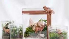 台北萬華 | 立體微景生態瓶 | 永續循環 | 一人成行