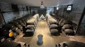 在加的斯省奇克拉纳德拉弗龙特拉参观酒庄并品尝葡萄酒