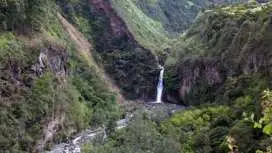 Presidente Figueiredo Waterfalls guided excursion with lunch