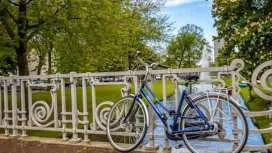 Best intro tour of Rotterdam with a local