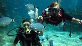 Alanya Scuba Diving for Beginners