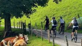 E-bike tour in Swiss Griesalp Valley from Interlaken