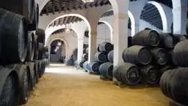 Jerez tour with Andalusian horse dancing and sherry tasting