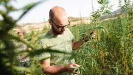 Sensory Walk with Lunch in the Caltagirone Countryside