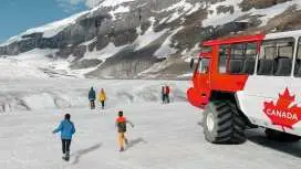 Columbia Icefield, Bow Lake, Peyto Lake, Adventure Day Trip | Canada