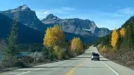 Columbia Icefield, Bow Lake, Peyto Lake, Adventure Day Trip | Canada
