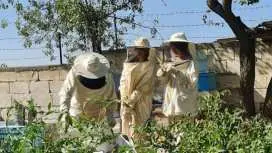 Beekeeping experience and honey tasting in Cappadocia
