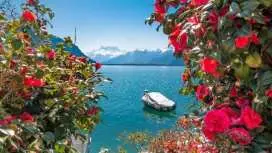 1-hour walking tour of Montreux with a local