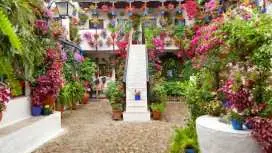 Tickets and guided tour of the authentic patios of Córdoba