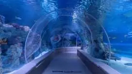 Istanbul Emaar Aquarium and Underwater Zoo with optional SkyView